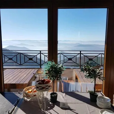 N-delux * 카파오닉