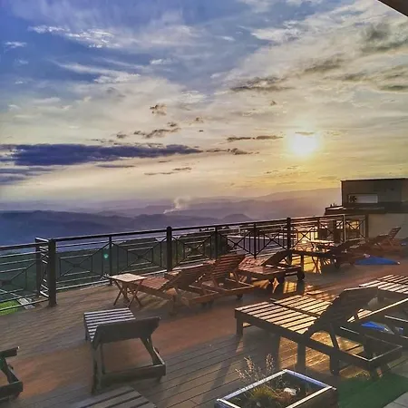 N-delux 카파오닉